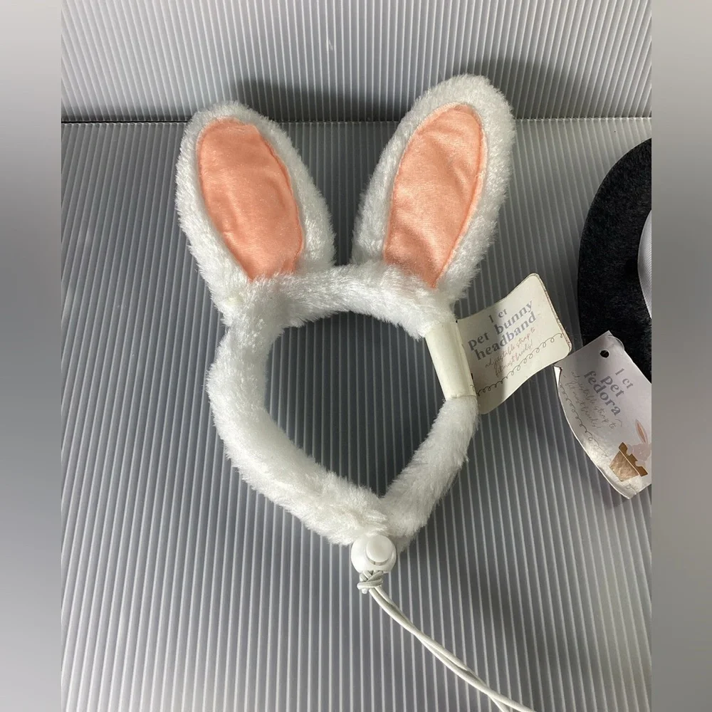 Set of 2 Pet Fedora and Bunny Headband
